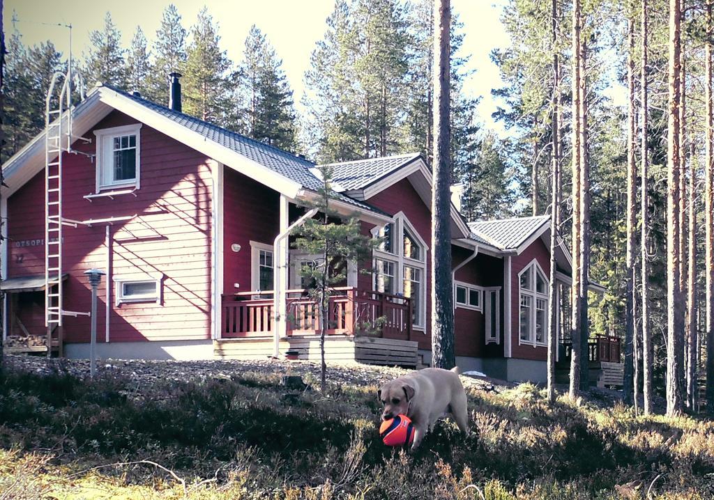 Otsopirtti: Maria And Otso Apartments Kolinkylä Rom bilde